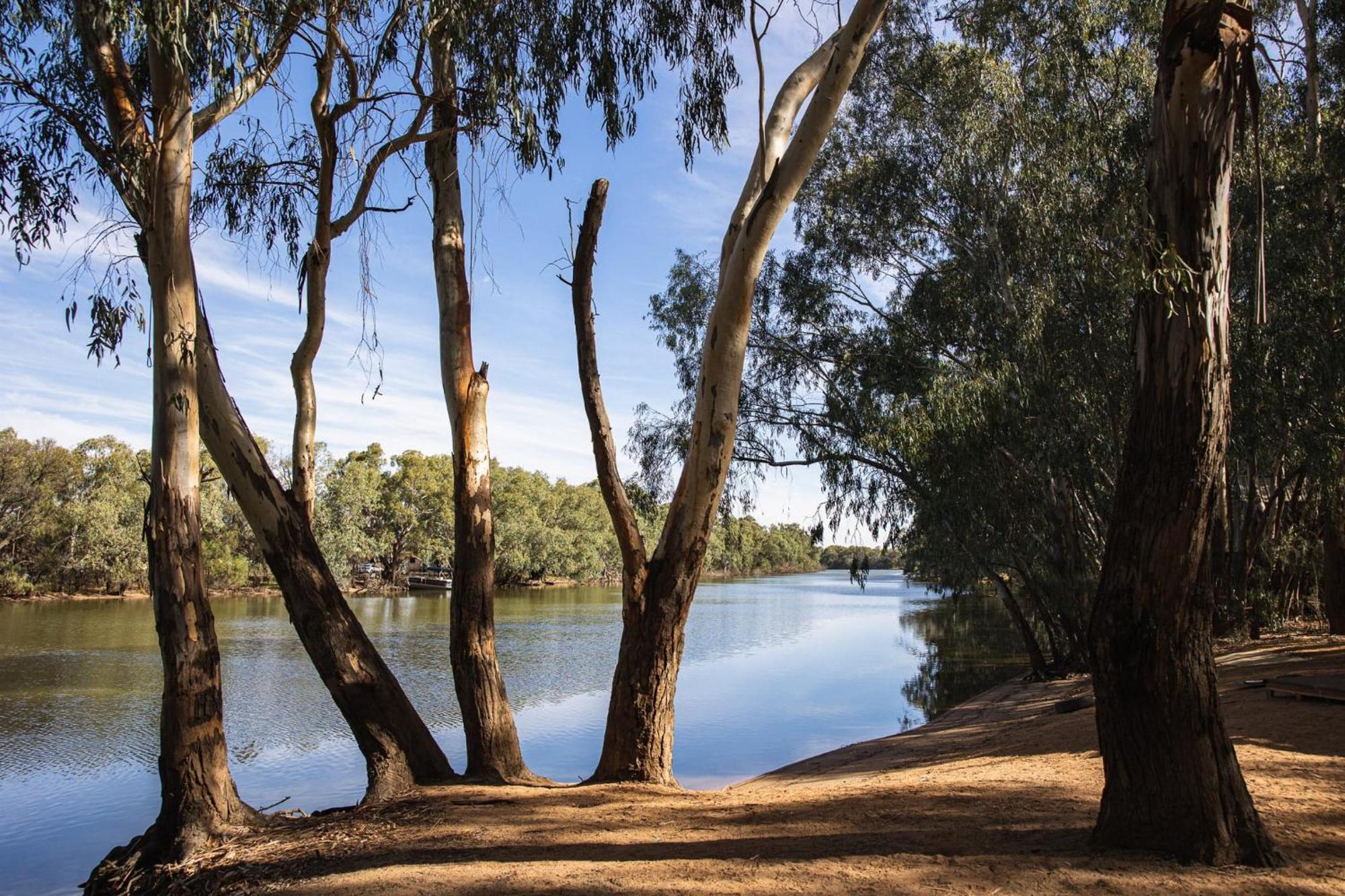 Nyngan Riverside Tourist Park Hotel Exterior foto