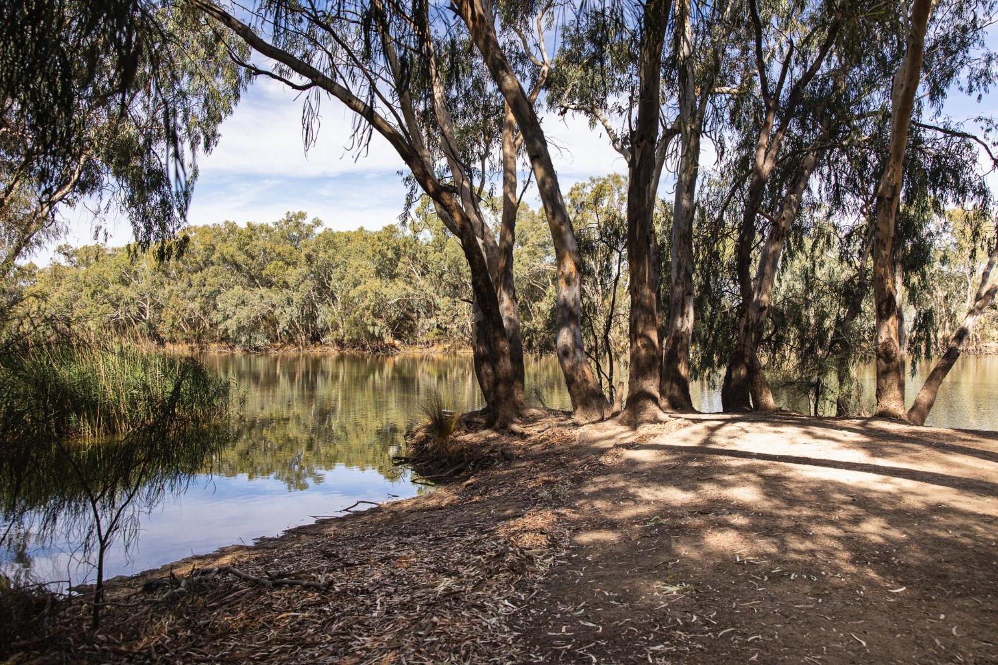 Nyngan Riverside Tourist Park Hotel Exterior foto